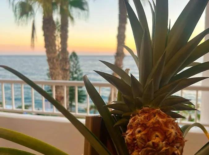 Dreamstay Primera Linea De Playa Costa Tropical Granada, España