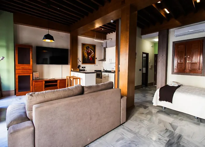 Apartamentos Reyes Catolicos By Medina Living Granada, Spagna