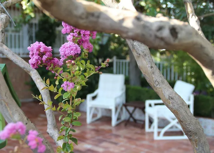 Villa El jardín de la abuela Granada